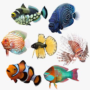 3D model coral fishes rigged