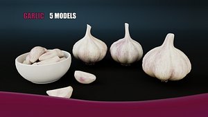 Garlic 3D model