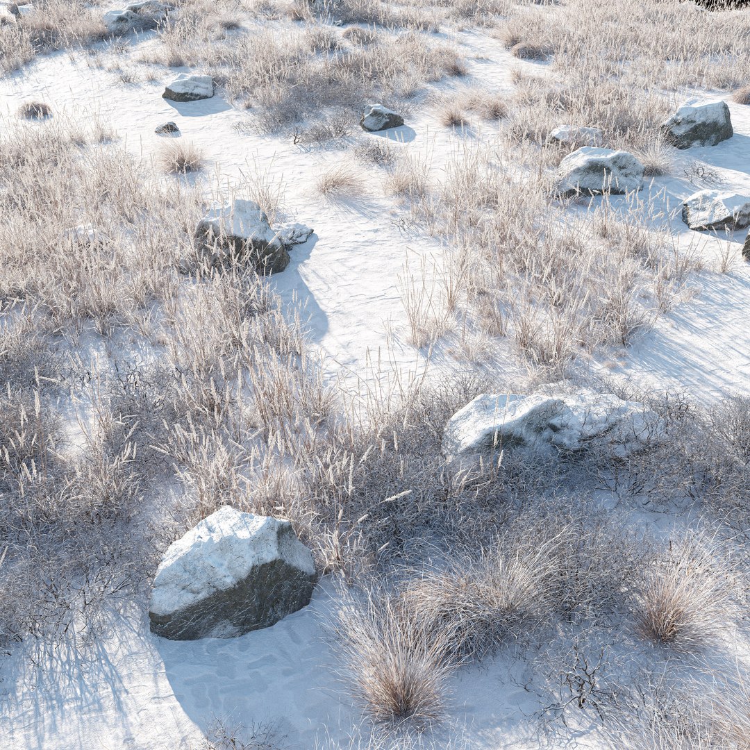 3D Snowy Biome - TurboSquid 2415155