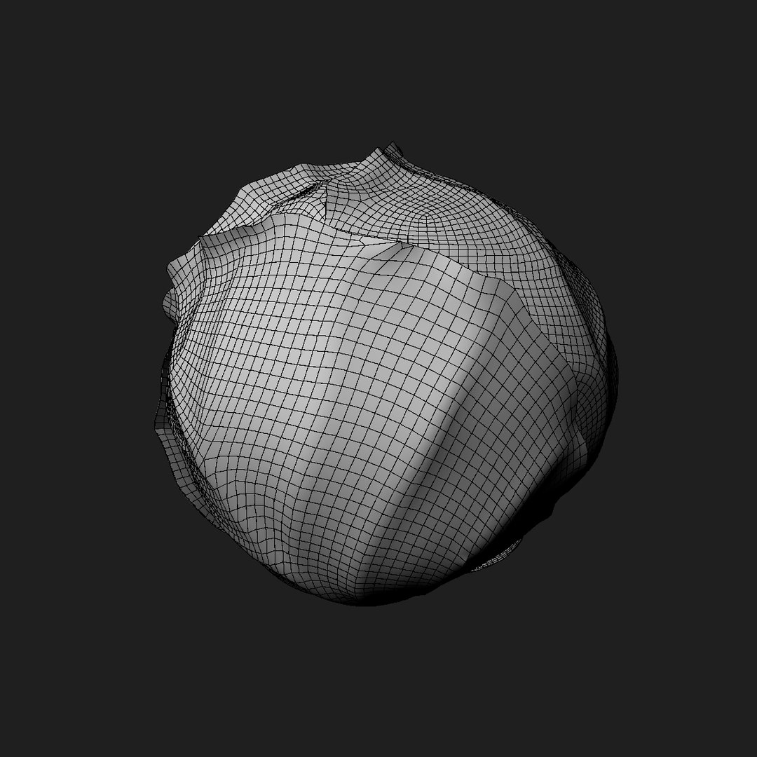 3D cabbage purple model https://p.turbosquid.com/ts-thumb/HP/FgHpoS/S1OzbVrZ/wire1/jpg/1585614862/1920x1080/fit_q87/302930d7047a85f36085f96fc7ab52c209a4bdb9/wire1.jpg