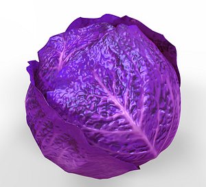 3D cabbage purple model