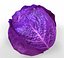 Purple Cabbage