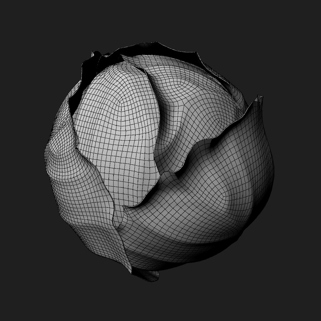 3D cabbage purple model https://p.turbosquid.com/ts-thumb/HP/FgHpoS/hKQG9KA2/wire2/jpg/1585614862/1920x1080/fit_q87/a84278355955fe50aa843063b72af6a0031926bb/wire2.jpg
