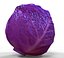 Purple Cabbage