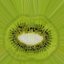 Peeled Kiwi Quarter Half
