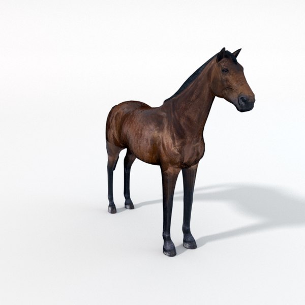 Cavalo estilizado Lowpoly animado para jogos VR AR Modelo 3D - TurboSquid  2059450