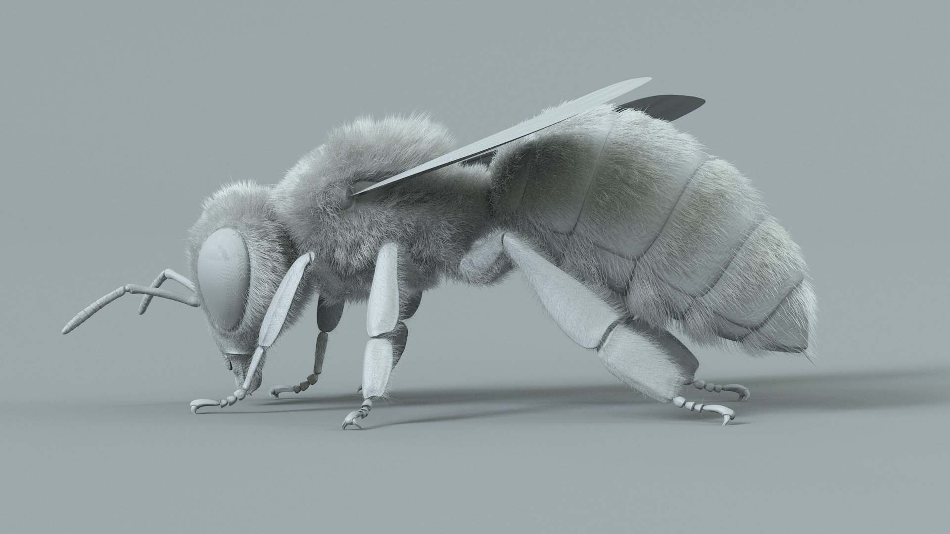 Honey Bee Rigged Xgen 3D model https://p.turbosquid.com/ts-thumb/HP/kBJp7X/1i/bee_rigged_19/jpg/1714983636/1920x1080/fit_q87/5eab9d872c247d683f50ada32166811a6ed9e24c/bee_rigged_19.jpg