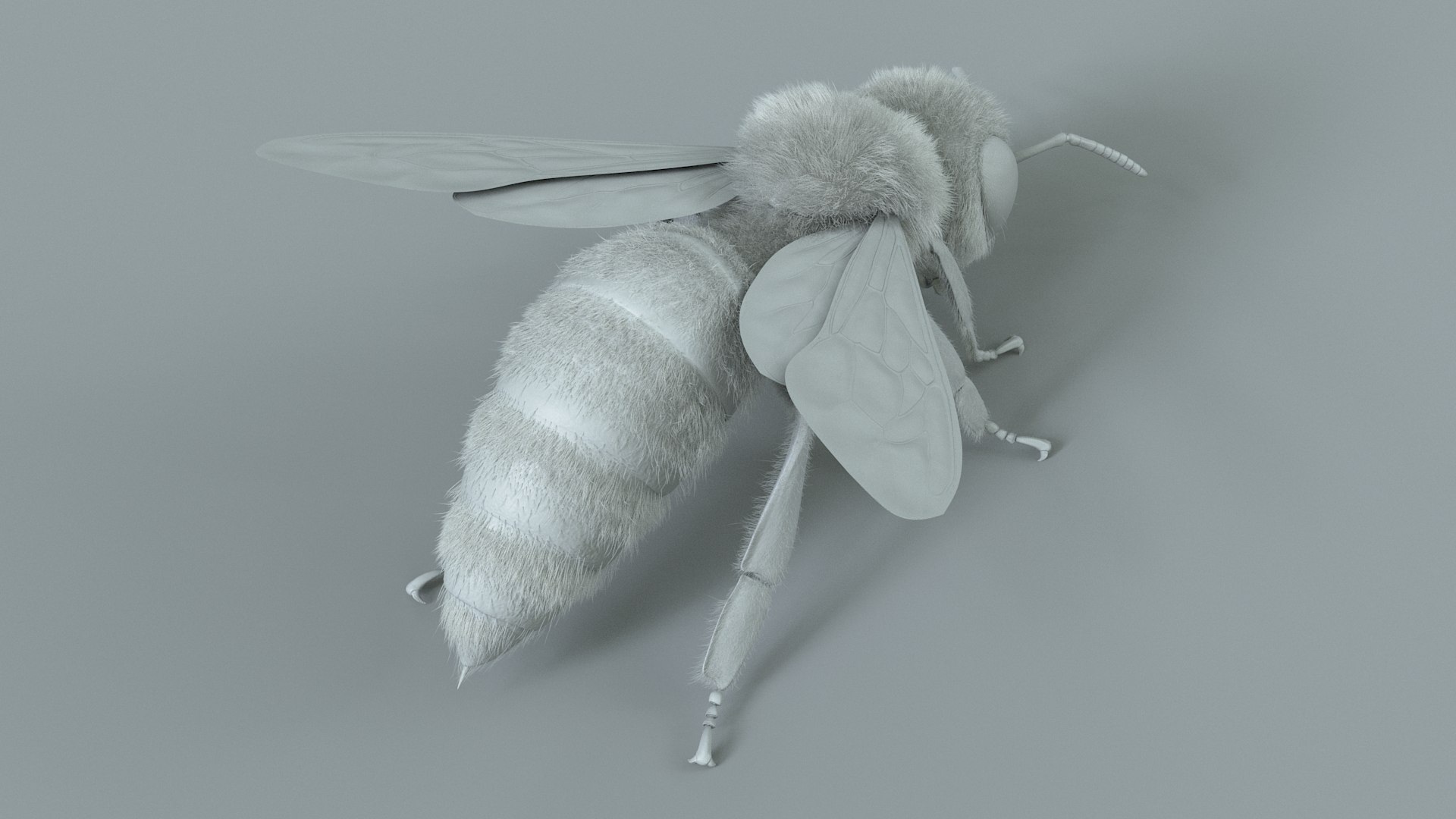 Honey Bee Rigged Xgen 3D model https://p.turbosquid.com/ts-thumb/HP/kBJp7X/3K/bee_rigged_16/jpg/1714983631/1920x1080/fit_q87/4245ac52805459c31451cbaf15d1846bc3f80916/bee_rigged_16.jpg