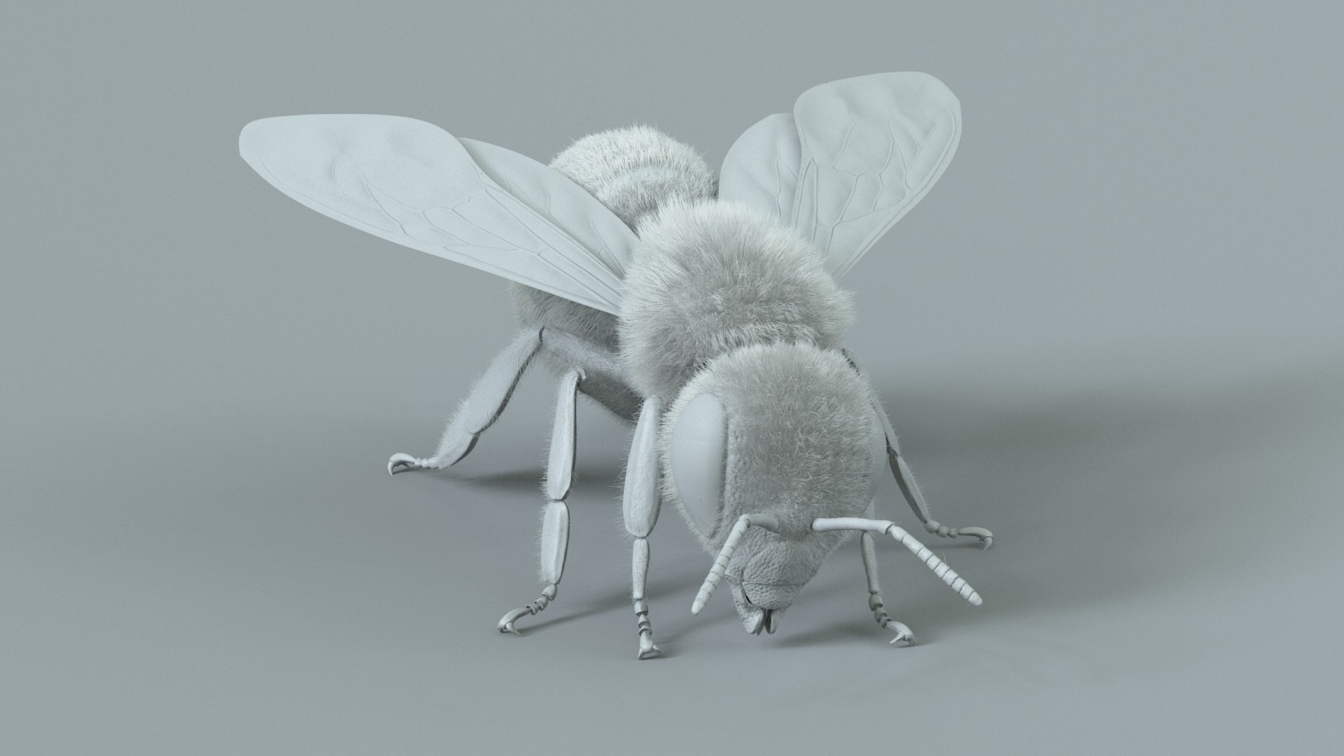 Honey Bee Rigged Xgen 3D model https://p.turbosquid.com/ts-thumb/HP/kBJp7X/5f/bee_rigged_22/jpg/1714983640/1920x1080/fit_q87/56fb57f7489e3db9c5bf1ee2b87f821d63fc2ae7/bee_rigged_22.jpg