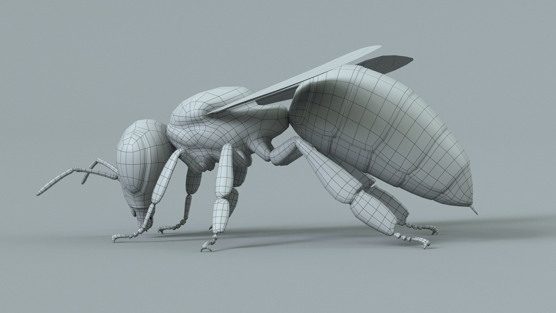 Honey Bee Rigged Xgen 3D model https://p.turbosquid.com/ts-thumb/HP/kBJp7X/Cy/bee_rigged_31/jpg/1714983653/1920x1080/fit_q87/b461c83f4ee50a3576165a20c3b51f43dd015384/bee_rigged_31.jpg