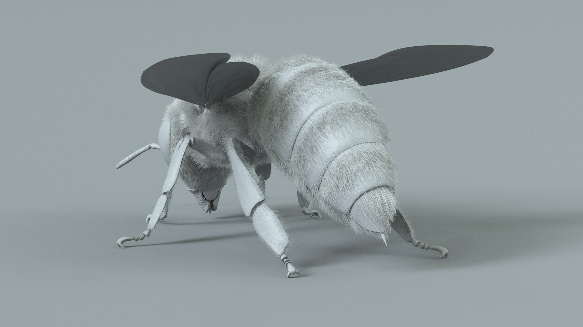 Honey Bee Rigged Xgen 3D model https://p.turbosquid.com/ts-thumb/HP/kBJp7X/EK/bee_rigged_18/jpg/1714983635/1920x1080/fit_q87/08314843a1bb84a94181b850ad6e8e8c57de343b/bee_rigged_18.jpg