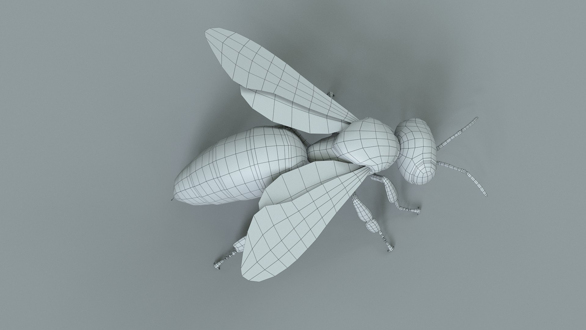 Honey Bee Rigged Xgen 3D model https://p.turbosquid.com/ts-thumb/HP/kBJp7X/EU/bee_rigged_36/jpg/1714983658/1920x1080/fit_q87/026afb3dd08ded5209fd053f5d225ad73e4359b3/bee_rigged_36.jpg