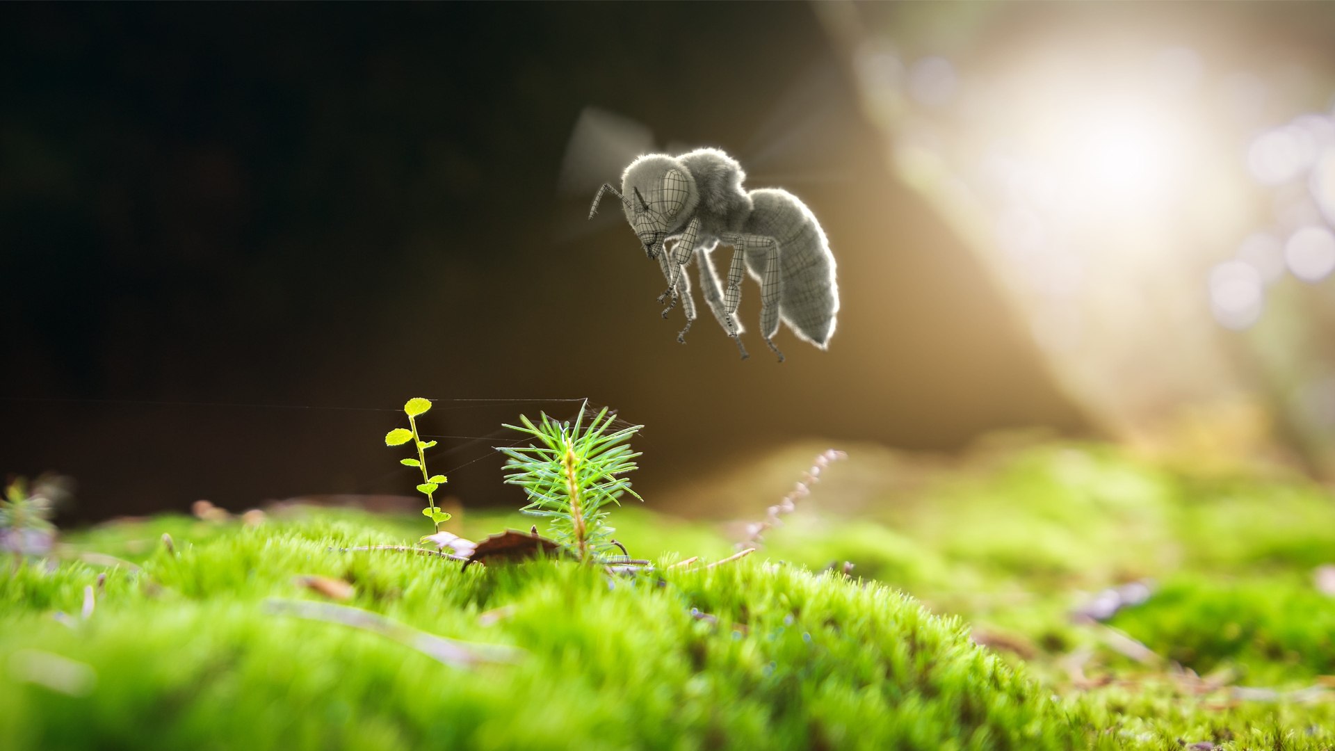Honey Bee Rigged Xgen 3D model https://p.turbosquid.com/ts-thumb/HP/kBJp7X/FX/bee_rigged_scene_02_wf/jpg/1714984904/1920x1080/fit_q87/a4fb10a39282ce3d23748e65c3169371f96ded0c/bee_rigged_scene_02_wf.jpg