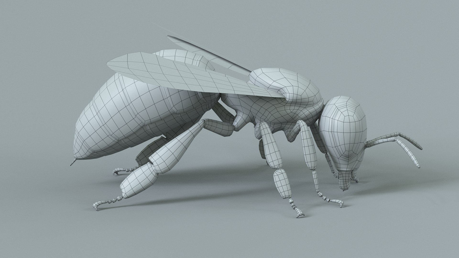 Honey Bee Rigged Xgen 3D model https://p.turbosquid.com/ts-thumb/HP/kBJp7X/Gj/bee_rigged_27/jpg/1714983646/1920x1080/fit_q87/3d3354b25122ee849b9fdb0ca4b9150682d876b9/bee_rigged_27.jpg