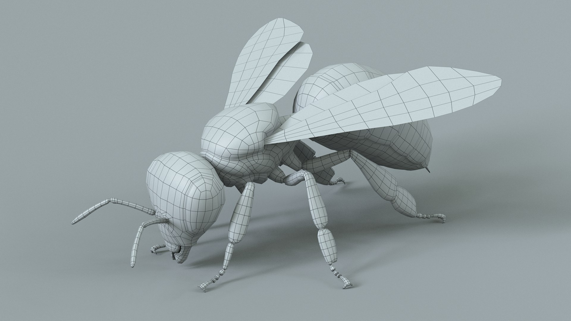 Honey Bee Rigged Xgen 3D model https://p.turbosquid.com/ts-thumb/HP/kBJp7X/IT/bee_rigged_32/jpg/1714983653/1920x1080/fit_q87/b0904a5c33f1b076888635d2d5461764ab6a3ba2/bee_rigged_32.jpg