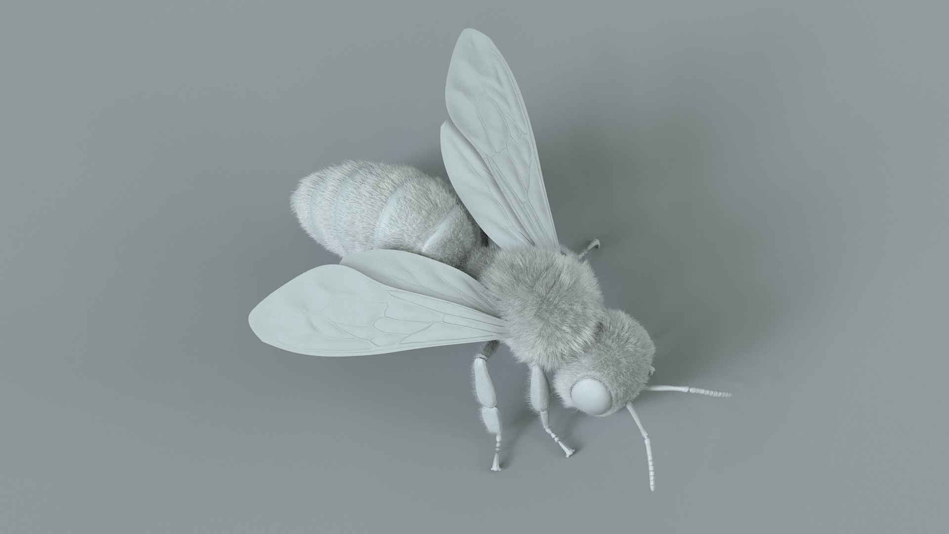 Honey Bee Rigged Xgen 3D model https://p.turbosquid.com/ts-thumb/HP/kBJp7X/LP/bee_rigged_23/jpg/1714983641/1920x1080/fit_q87/6fca837bc0df2472c918350ea857ec24eee1df7f/bee_rigged_23.jpg