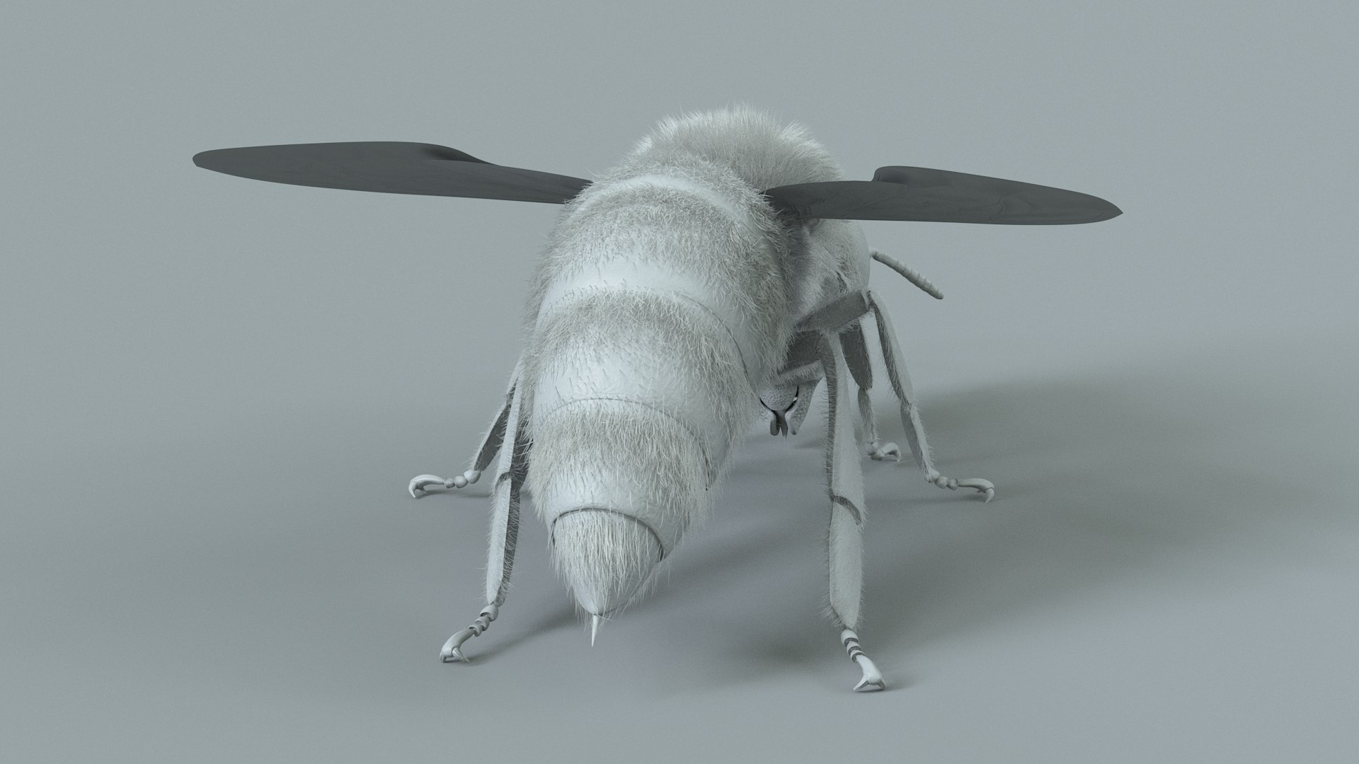 Honey Bee Rigged Xgen 3D model https://p.turbosquid.com/ts-thumb/HP/kBJp7X/Pp/bee_rigged_17/jpg/1714983632/1920x1080/fit_q87/97f6e2f0e12f59a0f86e5f7c300404fcf561f13c/bee_rigged_17.jpg