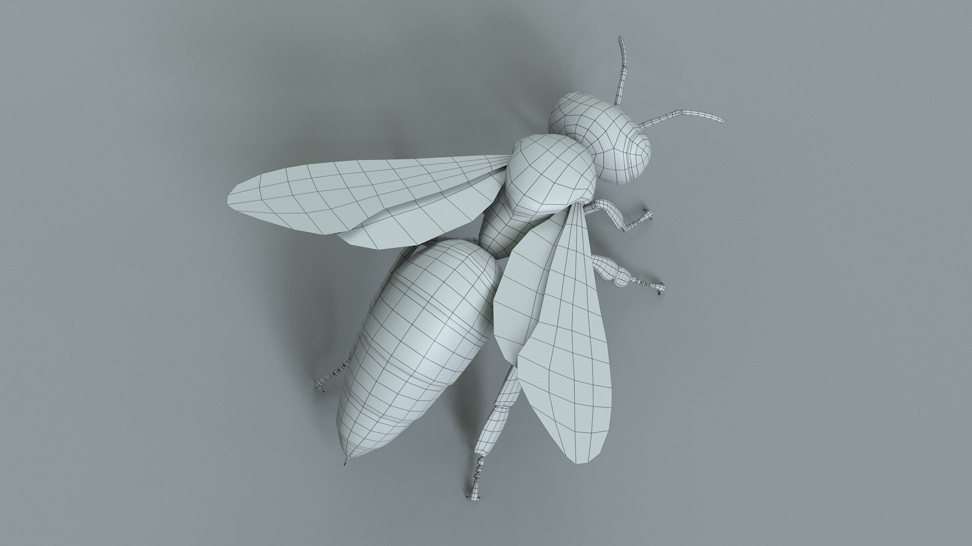Honey Bee Rigged Xgen 3D model https://p.turbosquid.com/ts-thumb/HP/kBJp7X/T8/bee_rigged_37/jpg/1714983662/1920x1080/fit_q87/f50253d899e9f1a8b7e61741b8a37c9f7261f0de/bee_rigged_37.jpg