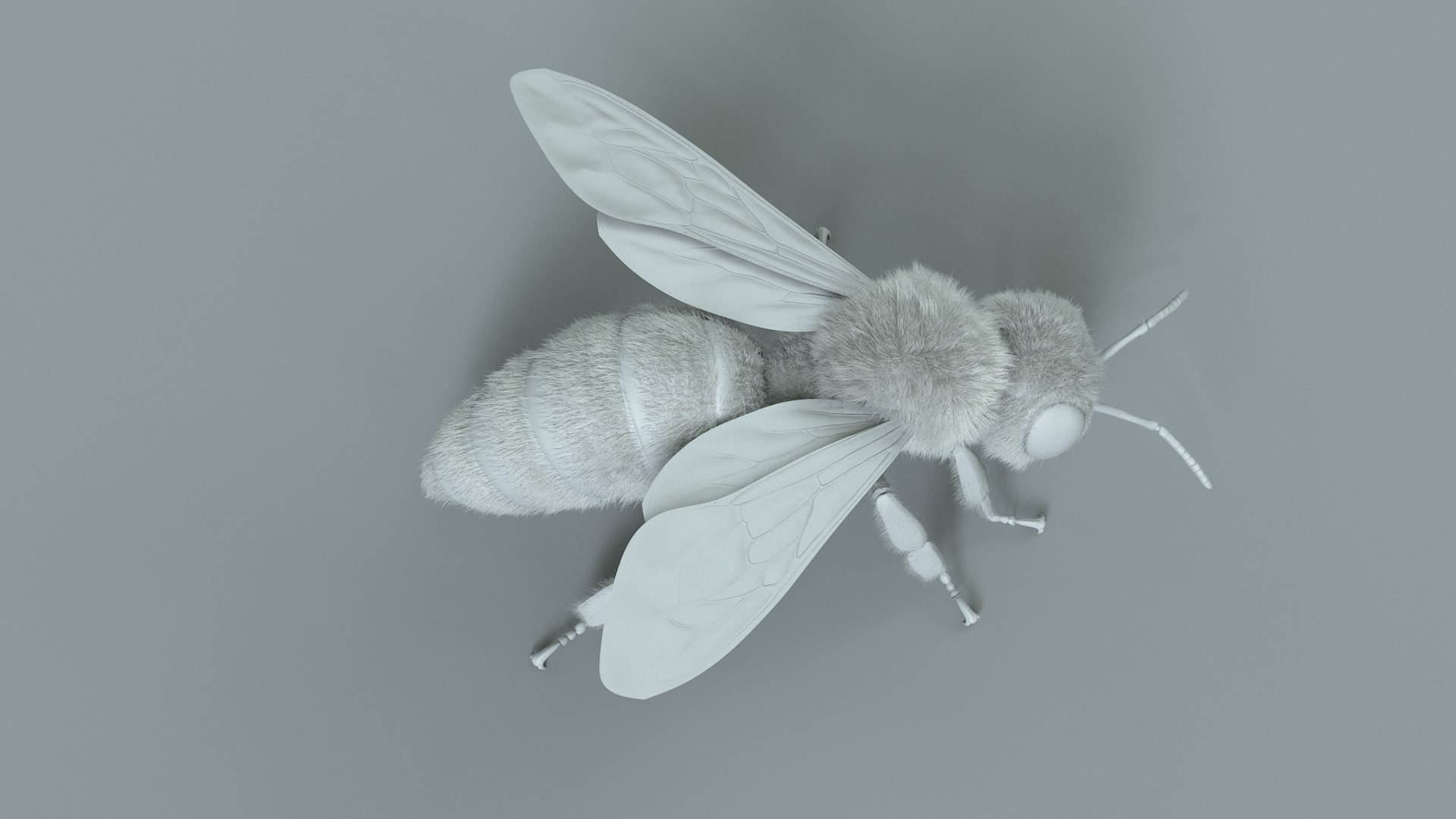 Honey Bee Rigged Xgen 3D model https://p.turbosquid.com/ts-thumb/HP/kBJp7X/TM/bee_rigged_24/jpg/1714983643/1920x1080/fit_q87/2ce933faed2f8539e31fd52314b79fb518c388df/bee_rigged_24.jpg