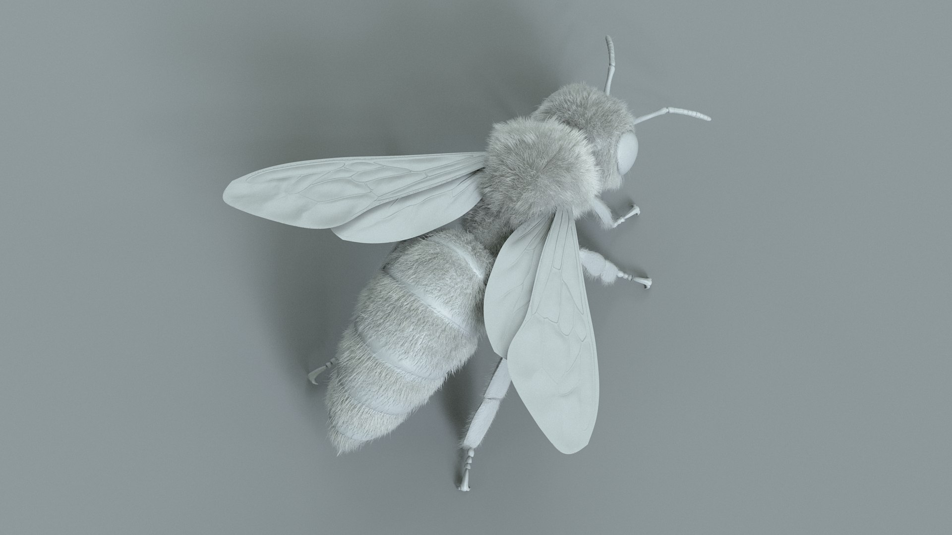 Honey Bee Rigged Xgen 3D model https://p.turbosquid.com/ts-thumb/HP/kBJp7X/br/bee_rigged_25/jpg/1714983643/1920x1080/fit_q87/31126ef1ef87943cf818c9f451a5304224b500c5/bee_rigged_25.jpg