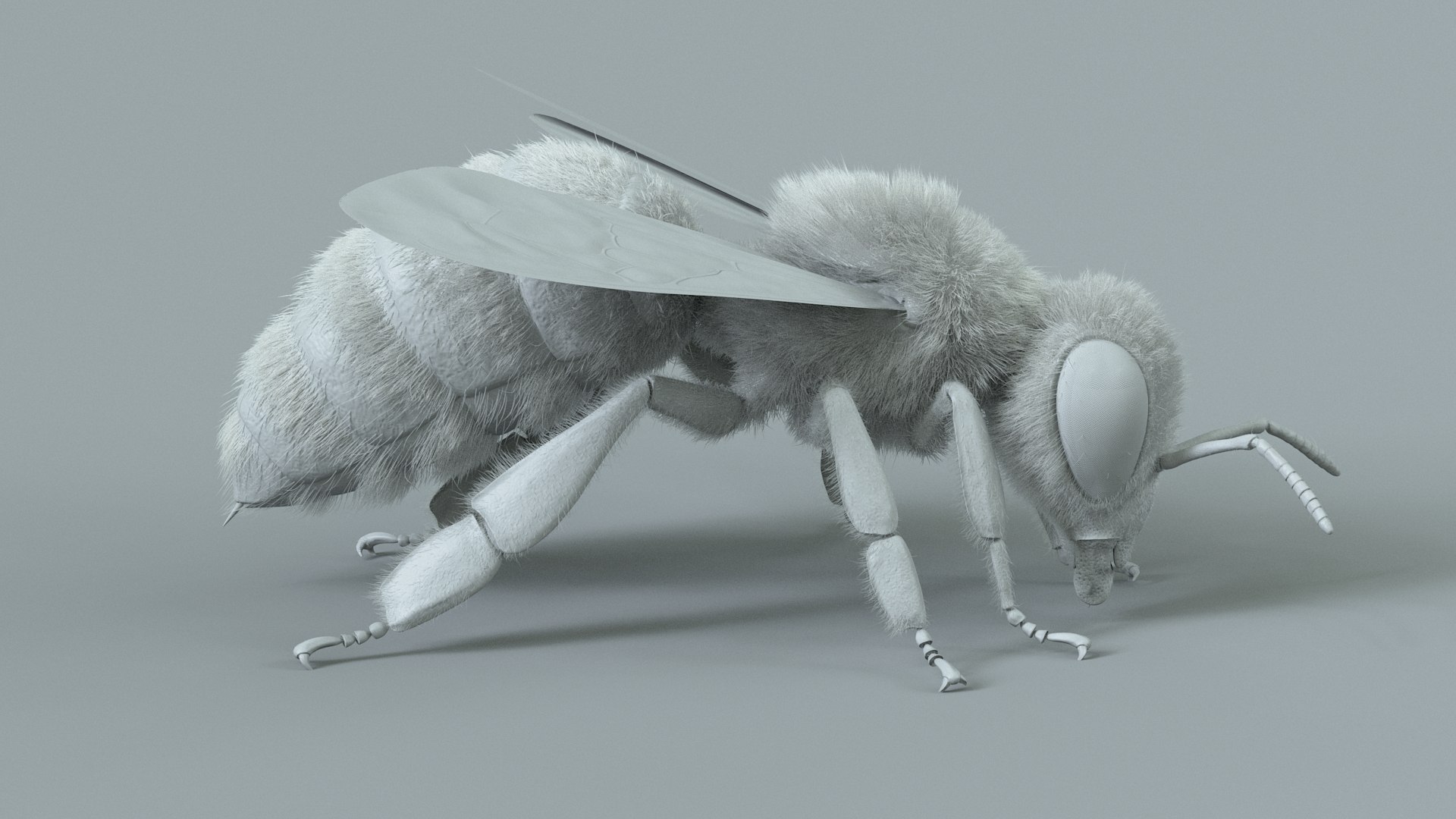 Honey Bee Rigged Xgen 3D model https://p.turbosquid.com/ts-thumb/HP/kBJp7X/cZ/bee_rigged_15/jpg/1714983631/1920x1080/fit_q87/b66cfcf3f6c9353a343ab2784423e6452a46acfd/bee_rigged_15.jpg