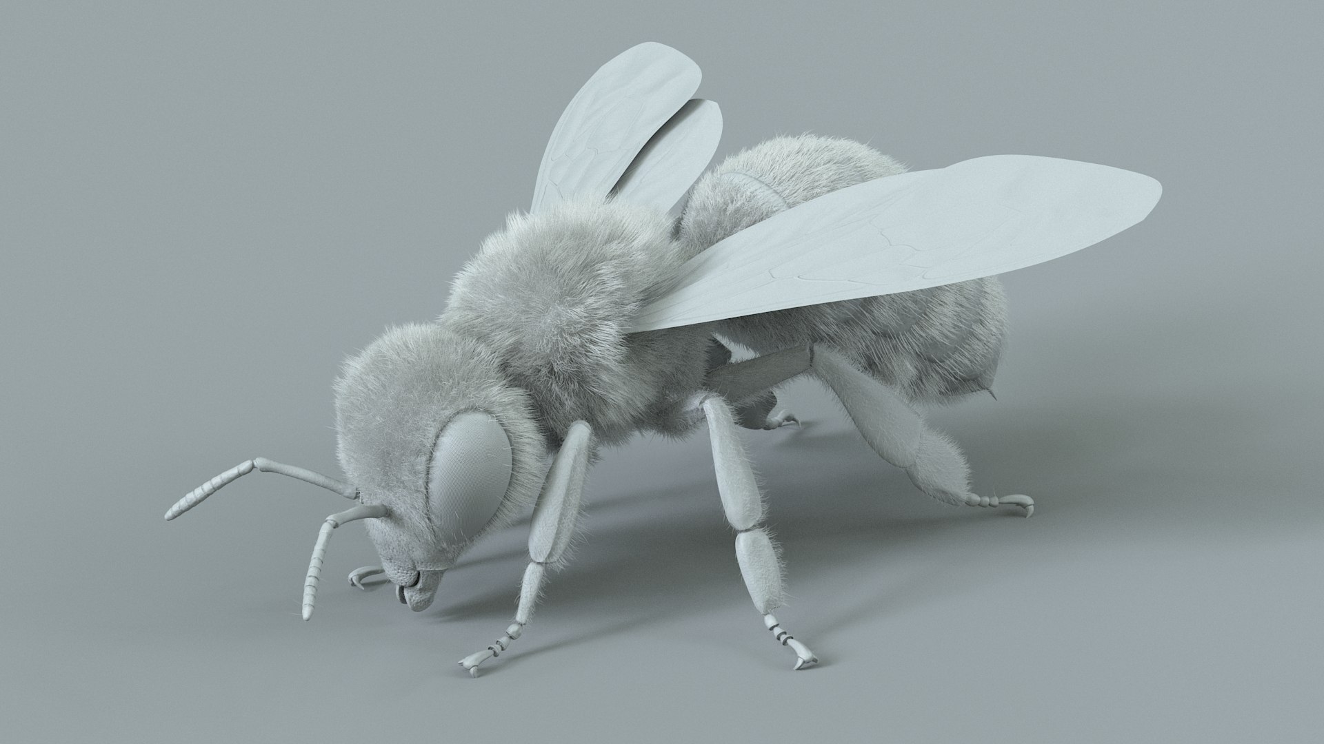 Honey Bee Rigged Xgen 3D model https://p.turbosquid.com/ts-thumb/HP/kBJp7X/lk/bee_rigged_20/jpg/1714983637/1920x1080/fit_q87/2e21c56102f5fc6925903d5e3357427d1b2d5932/bee_rigged_20.jpg