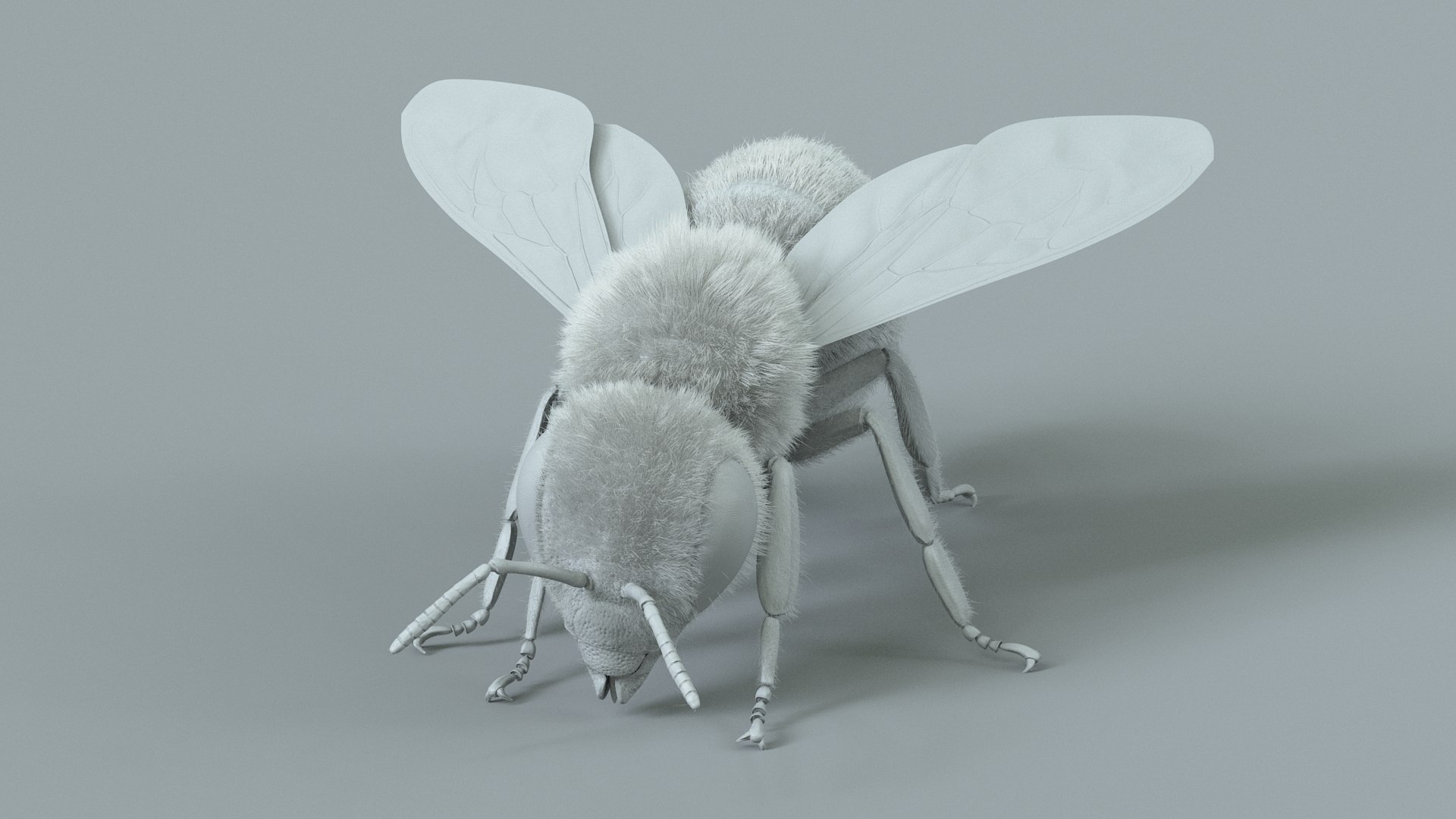 Honey Bee Rigged Xgen 3D model https://p.turbosquid.com/ts-thumb/HP/kBJp7X/op/bee_rigged_21/jpg/1714983639/1920x1080/fit_q87/8c4c79ffdb1b23be7a75c3d4455ac54c680e2fd3/bee_rigged_21.jpg