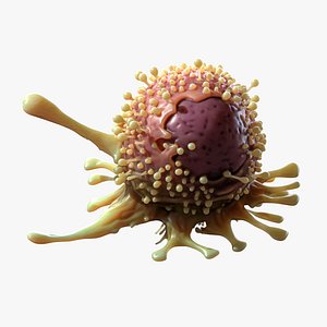 Cancer Cell Tumor