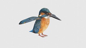 Low Poly Hummingbird Rigged With Realistic Texture 3D