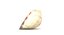 Conchiglia (1)