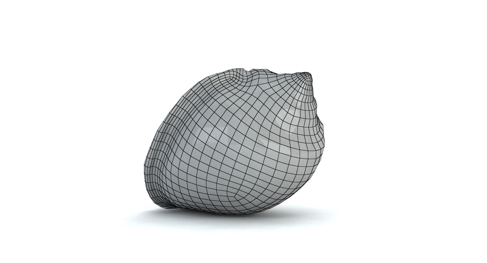 3d model seashell sea shell https://p.turbosquid.com/ts-thumb/HQ/1I7DOe/Vyo442Sb/w1/jpg/1452171855/1920x1080/fit_q87/1bd056eaf32f0cd720cd2e5995fd651a38c2a20c/w1.jpg