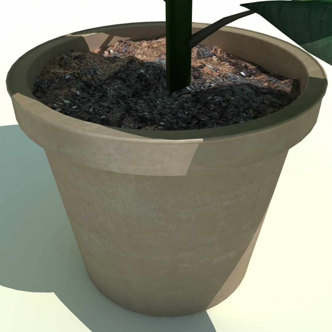 3d model interior plants v1 https://p.turbosquid.com/ts-thumb/HQ/CEwKQ9/LbHC218W/interior_plants_collection_v1_17/jpg/1266349958/1920x1080/fit_q87/61816bb26954e017cb1d61d9cd72e20872dd4bd5/interior_plants_collection_v1_17.jpg