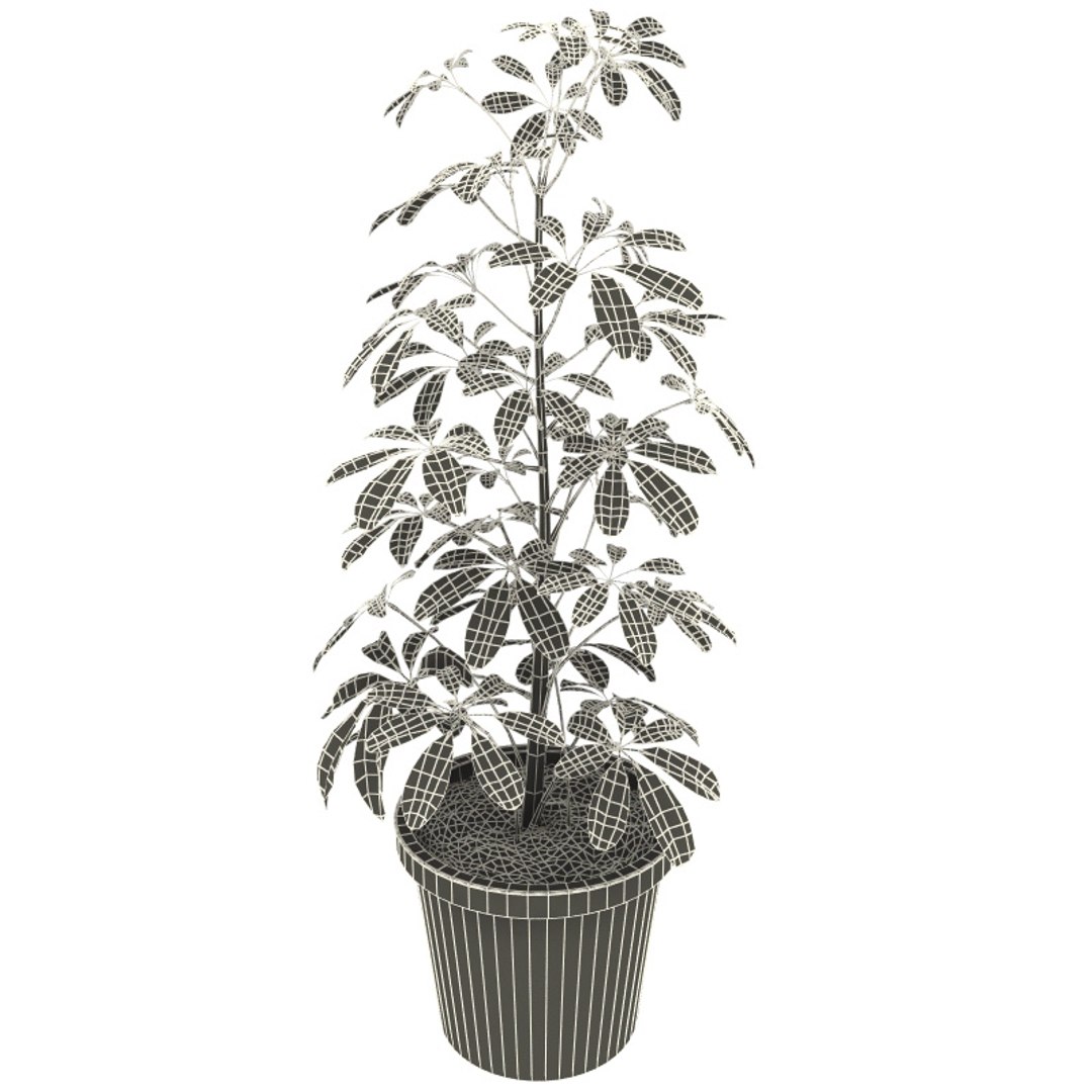 3d model interior plants v1 https://p.turbosquid.com/ts-thumb/HQ/CEwKQ9/mdUdsjQB/interior_plants_collection_v1_52/jpg/1266349961/1920x1080/fit_q87/af3cb301efa4d0d83df06b285b28900e81b6321b/interior_plants_collection_v1_52.jpg