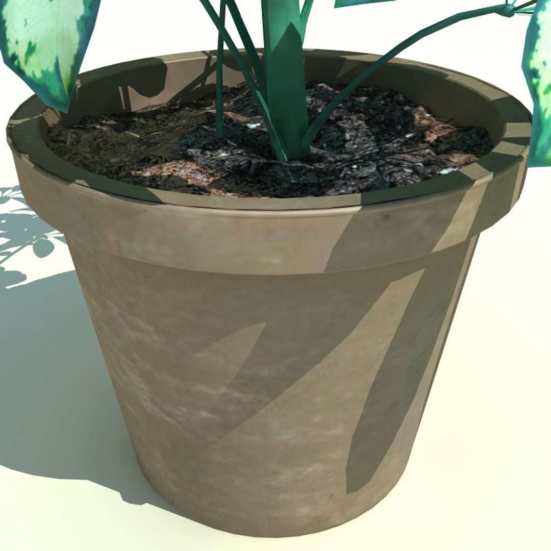 3d model interior plants v1 https://p.turbosquid.com/ts-thumb/HQ/CEwKQ9/zaEEE1lQ/interior_plants_collection_v1_56/jpg/1266349962/1920x1080/fit_q87/aceb0f4b9510c309541f1d6efef65c6bb976624b/interior_plants_collection_v1_56.jpg