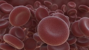 Red Blood Cell Ultra Realistic