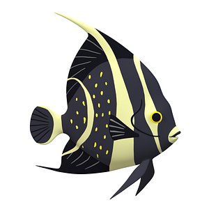 3D Angelfish