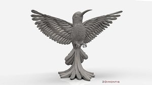 3D hummingbird model