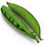 Green Peas
