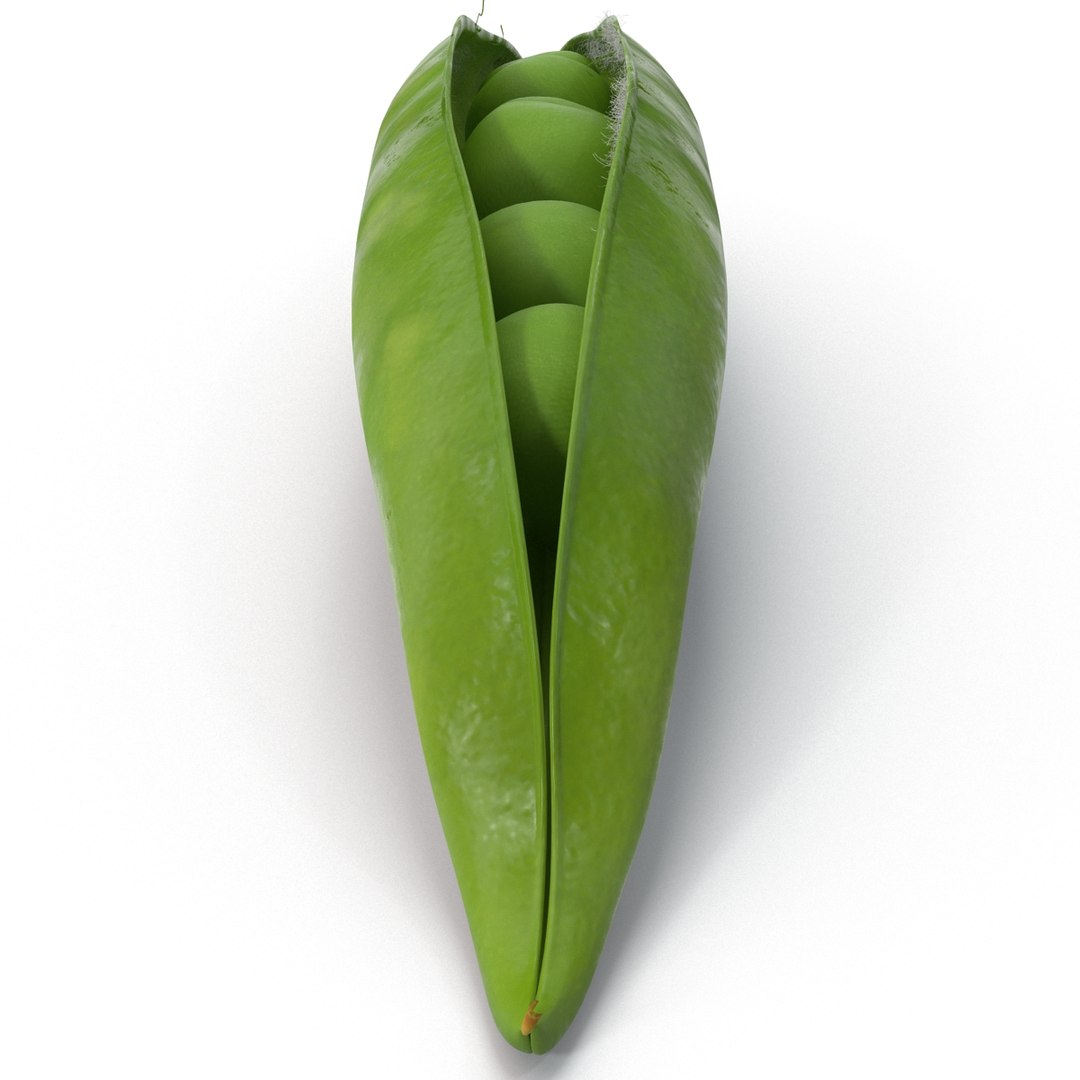 green peas max https://p.turbosquid.com/ts-thumb/HQ/lHWSCD/Kiey75Se/greenpeas_9/jpg/1400580539/1920x1080/fit_q87/2a2fab9cca71d1baf67db0b95f2ce2295f5a03ee/greenpeas_9.jpg
