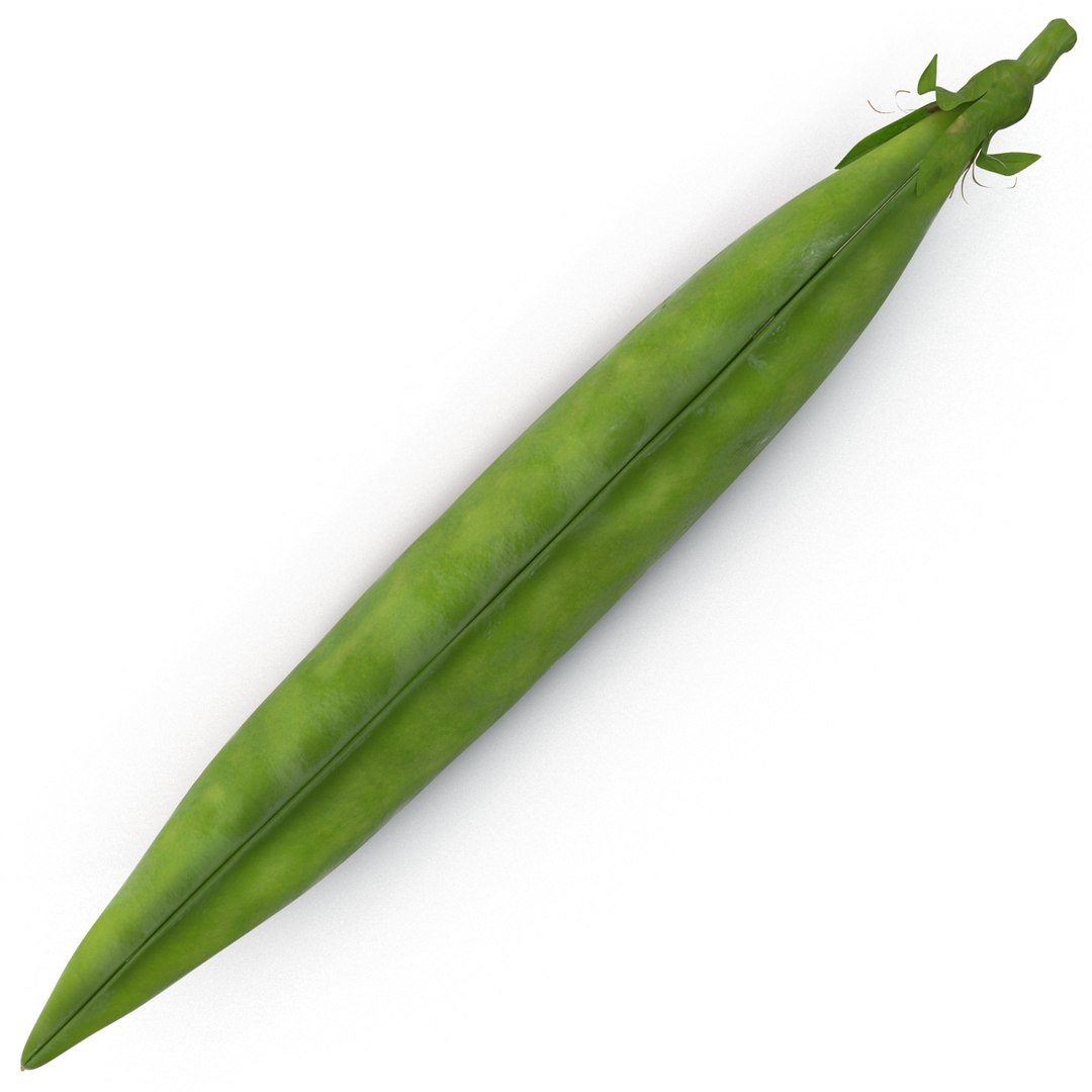 green peas max https://p.turbosquid.com/ts-thumb/HQ/lHWSCD/SAYM6rPp/greenpeas_14/jpg/1400580582/1920x1080/fit_q87/90efcc1fc95786908448a296dac0cc7f949e7853/greenpeas_14.jpg
