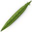 Green Peas