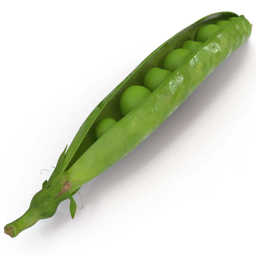green peas max https://p.turbosquid.com/ts-thumb/HQ/lHWSCD/WKa7aDMi/greenpeas_16/jpg/1400580587/1920x1080/fit_q87/77b05efdb66b1f5ce682c8aa9860a65940dff8c8/greenpeas_16.jpg