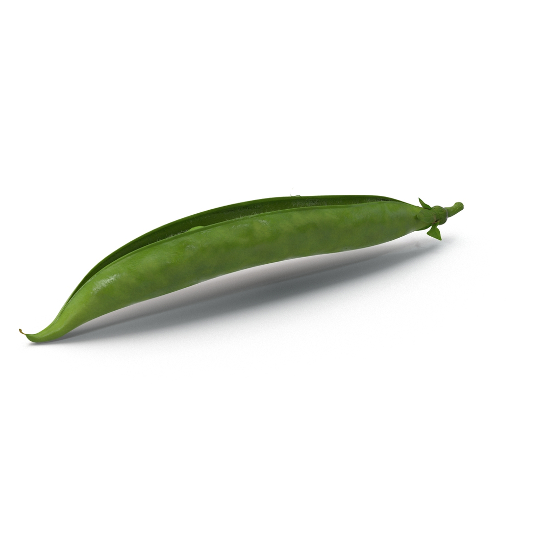 green peas max https://p.turbosquid.com/ts-thumb/HQ/lHWSCD/Y8C1rS1l/turntablefile_360/jpg/1400580670/1920x1080/turn_fit_q99/a15fb5bddb3d5e32279e14543efc3ccccb45b708/turntablefile_360-1.jpg