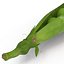 Green Peas
