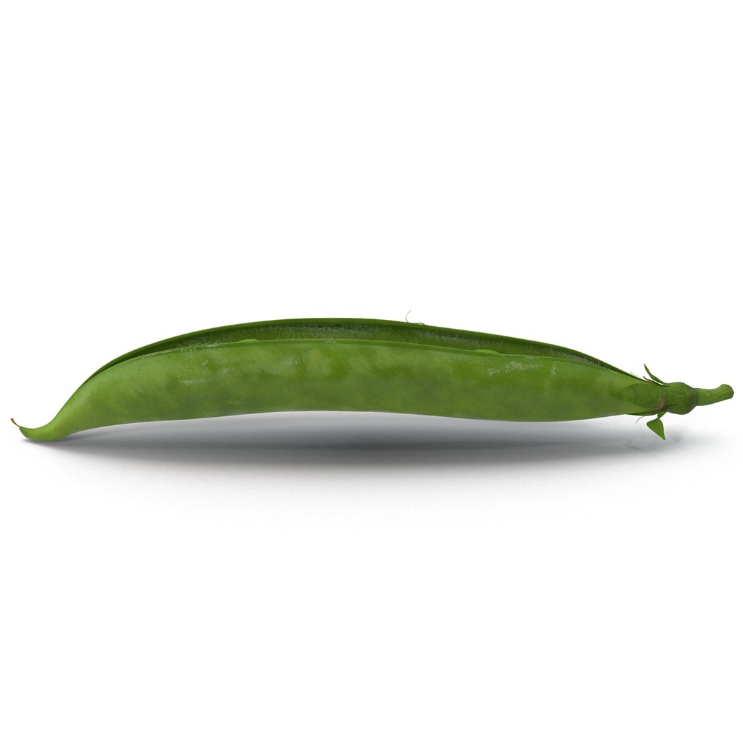 green peas max https://p.turbosquid.com/ts-thumb/HQ/lHWSCD/jilWxaM1/greenpeas_10/jpg/1400580550/1920x1080/fit_q87/8e2c6d30e248afb13d51bb5d84d9ca8aee4467fa/greenpeas_10.jpg