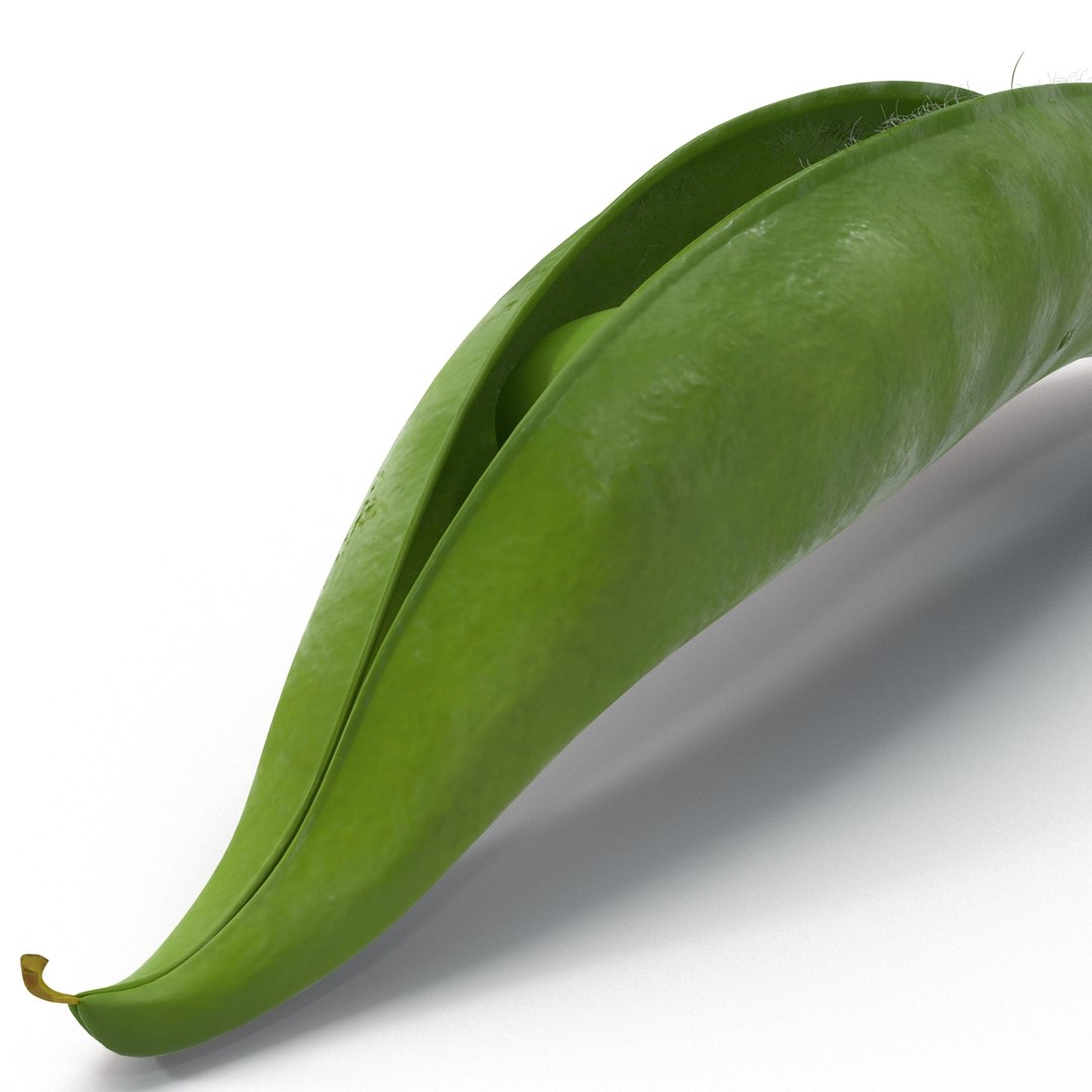 green peas max https://p.turbosquid.com/ts-thumb/HQ/lHWSCD/nnc4cgxY/greenpeas_20/jpg/1400580617/1920x1080/fit_q87/186b2a6c789fc7a78c0fc1eb2e0cbf88bcb7c7a0/greenpeas_20.jpg
