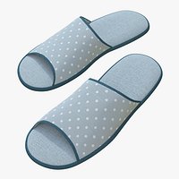 Slippes 01 e