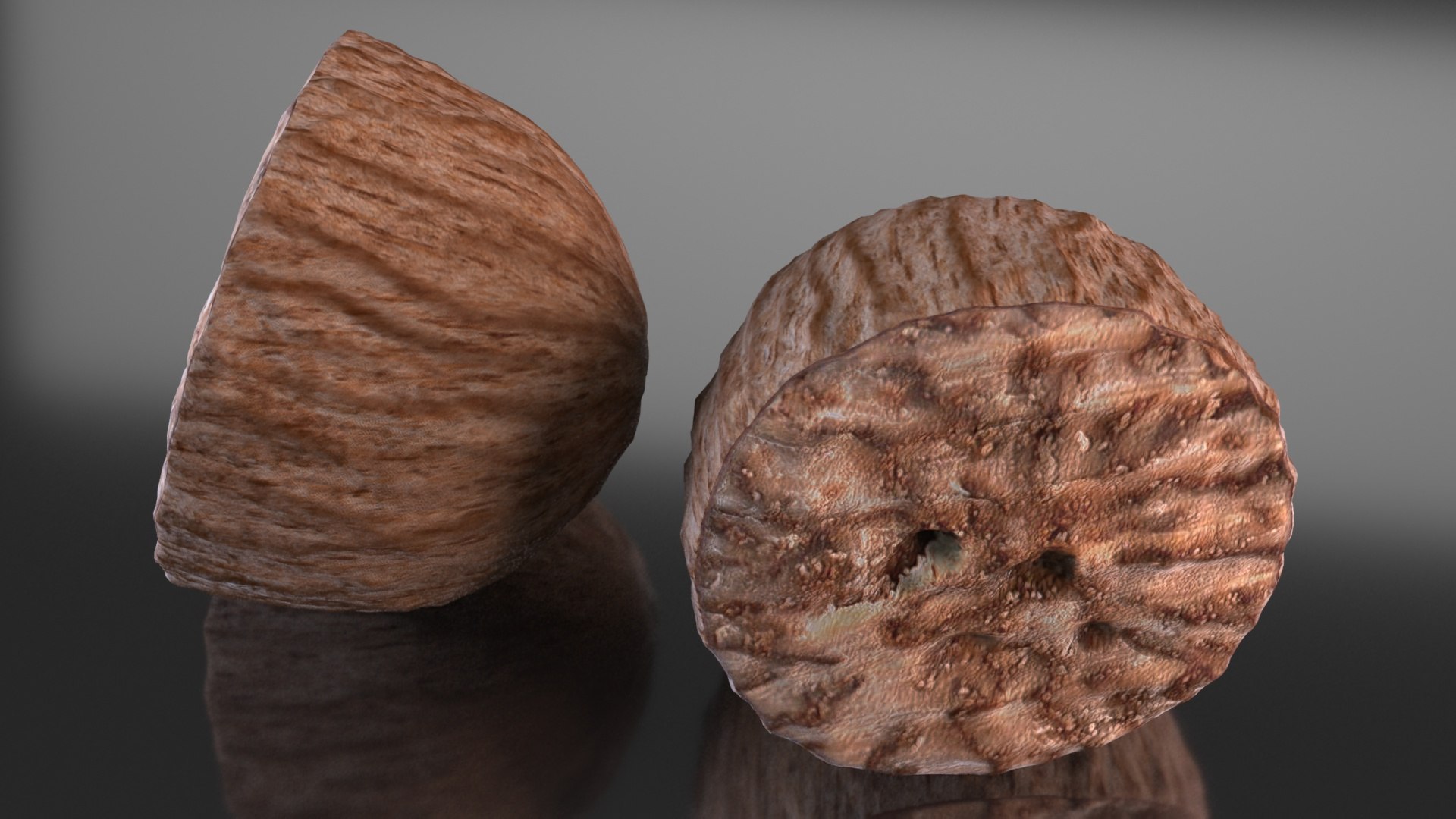 3D Nut Aroma Nutmeg TurboSquid 1684027