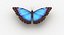 realistic blue morpho butterfly model