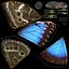 realistic blue morpho butterfly model